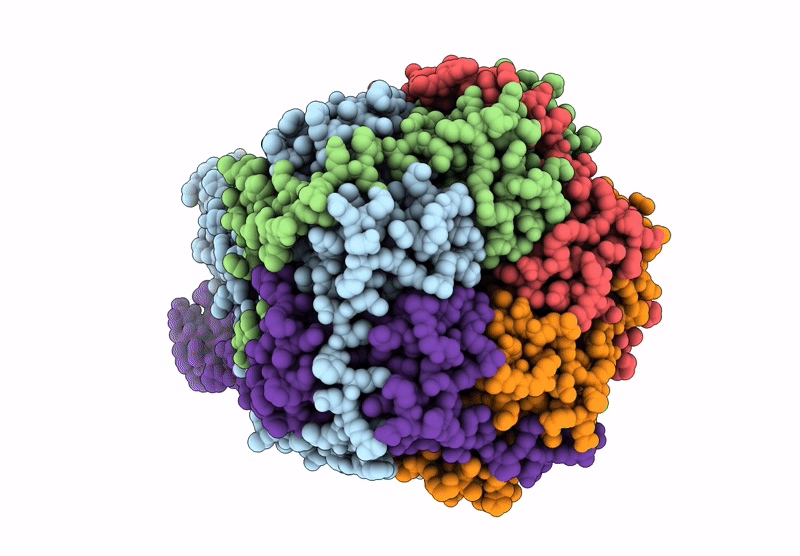 9KP6 image