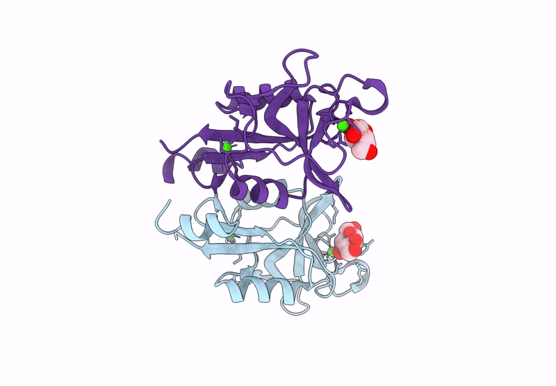 9KPL image