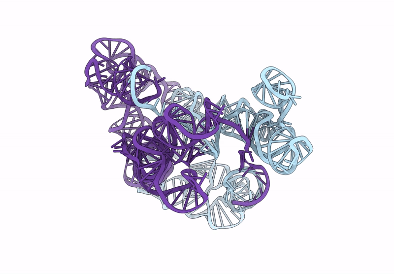 9KPO image