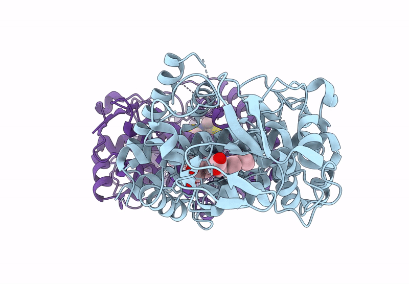 9KPU image