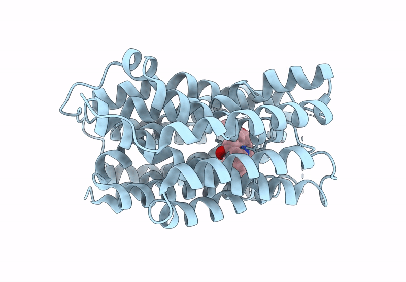 9KQA image
