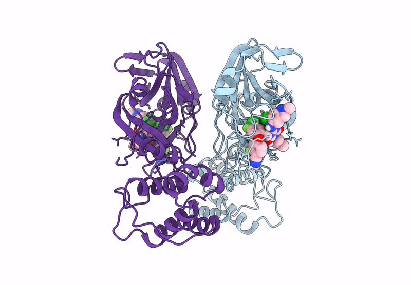 9KSK image