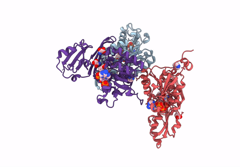 9KSN image