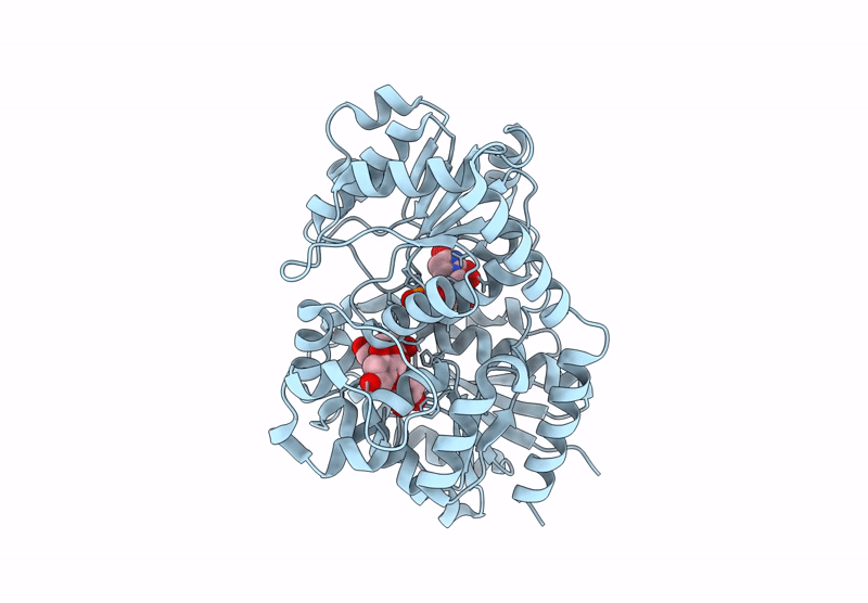 9KSS image