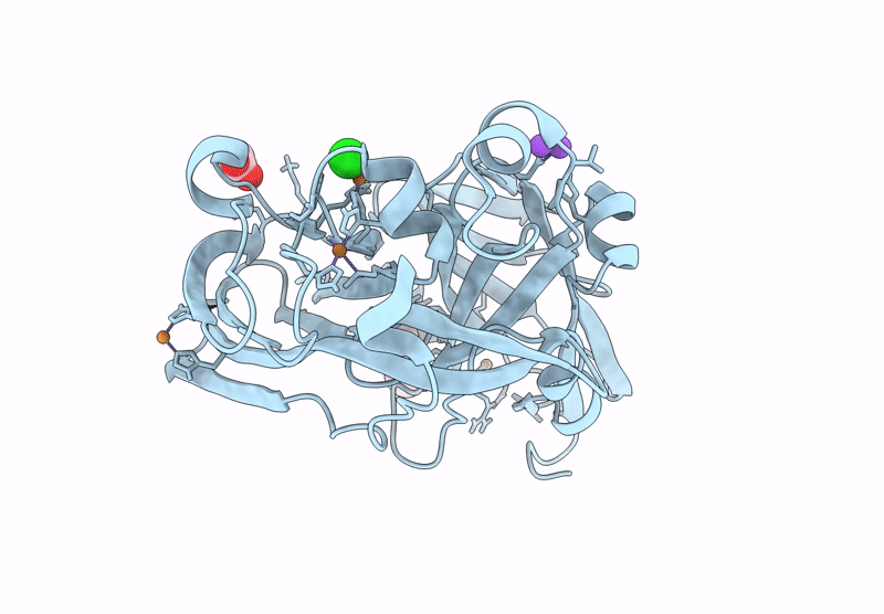 9KWS image