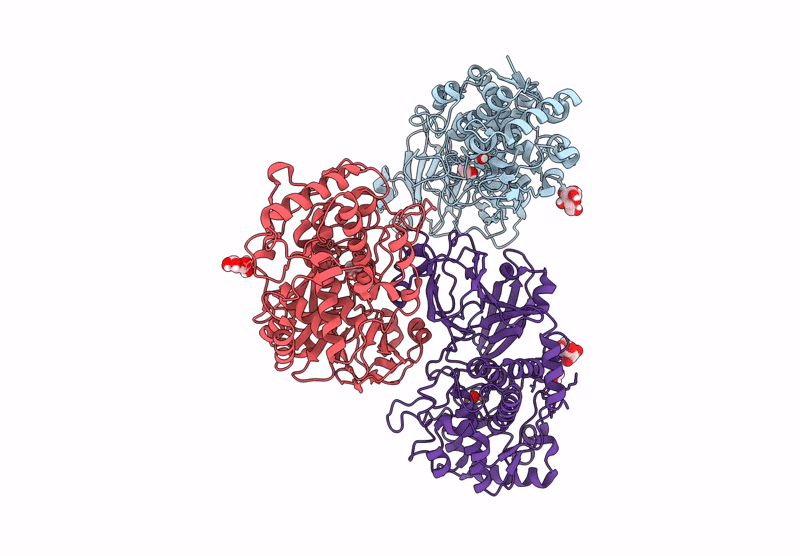9KZL image
