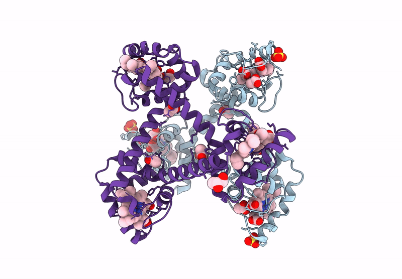 9L08 image