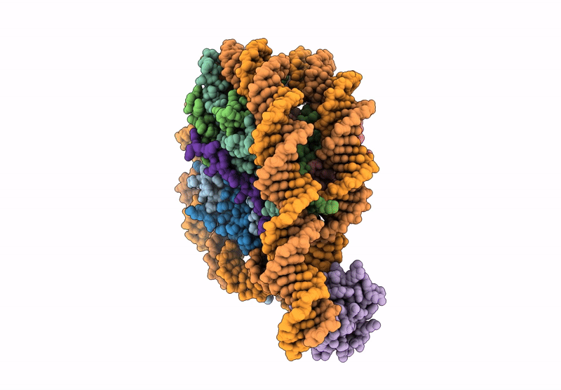 9L1X image