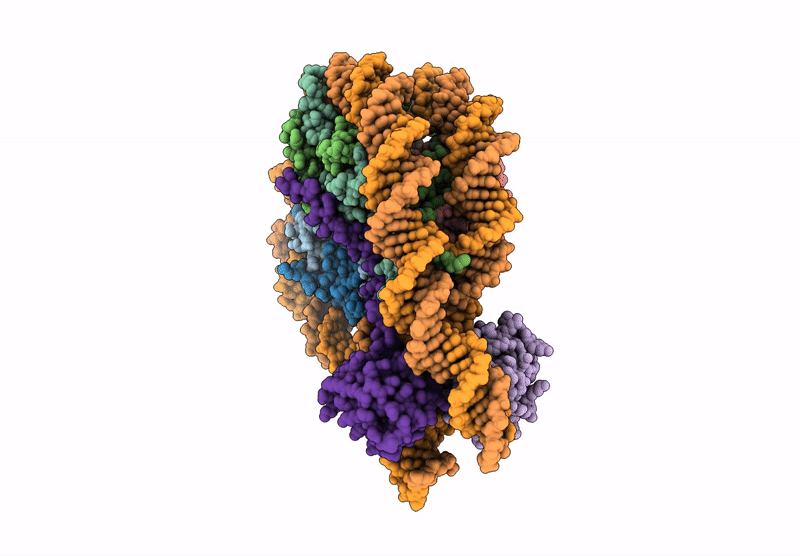 9L22 image
