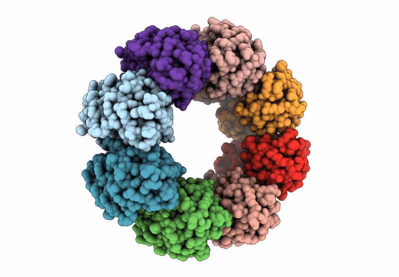 9L2E image