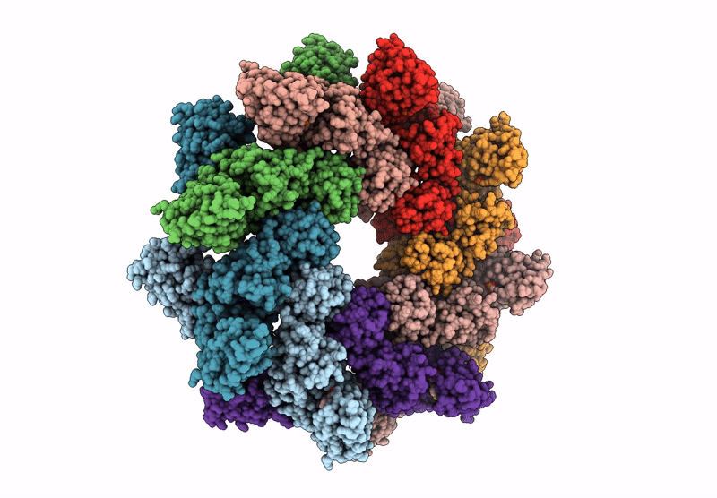 9L2G image