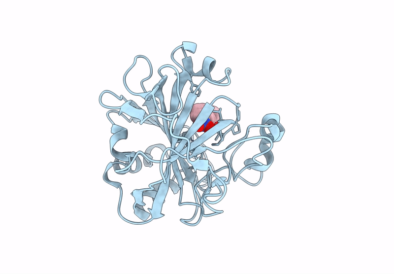 9L2Y image