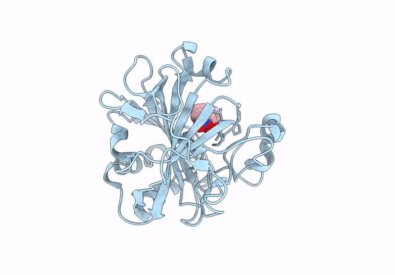 9L2Z image