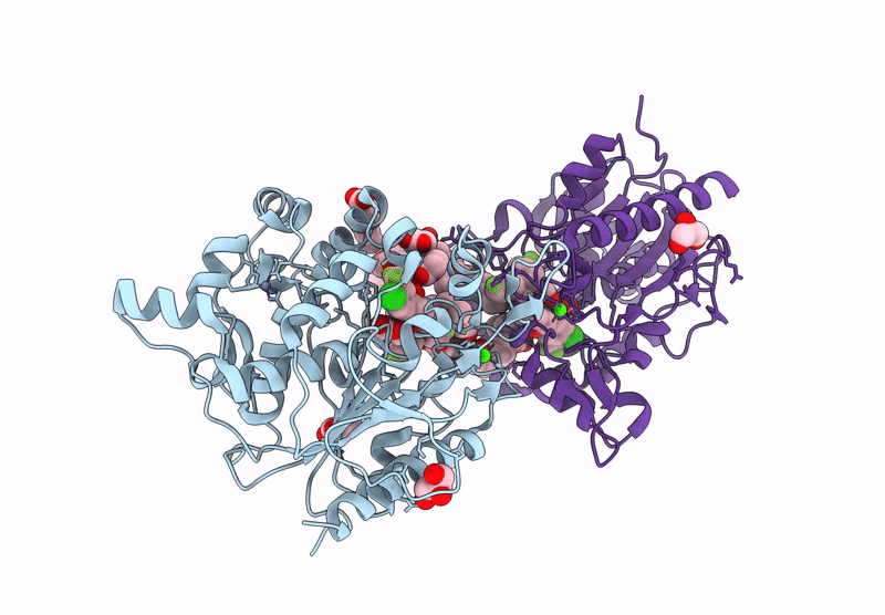 9L3C image
