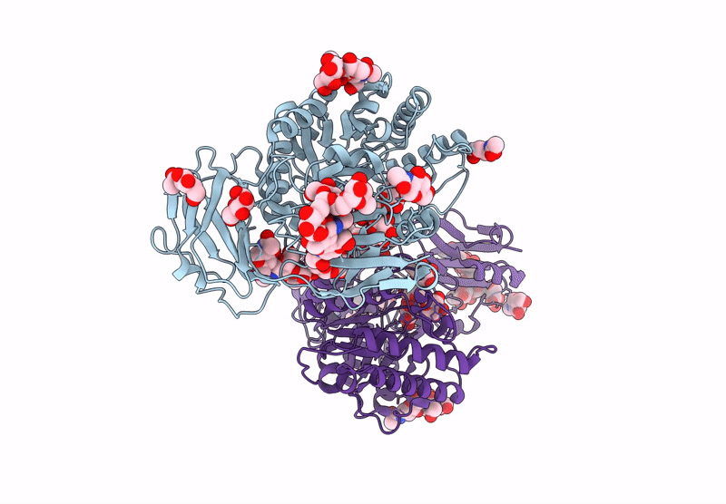 9L3J image