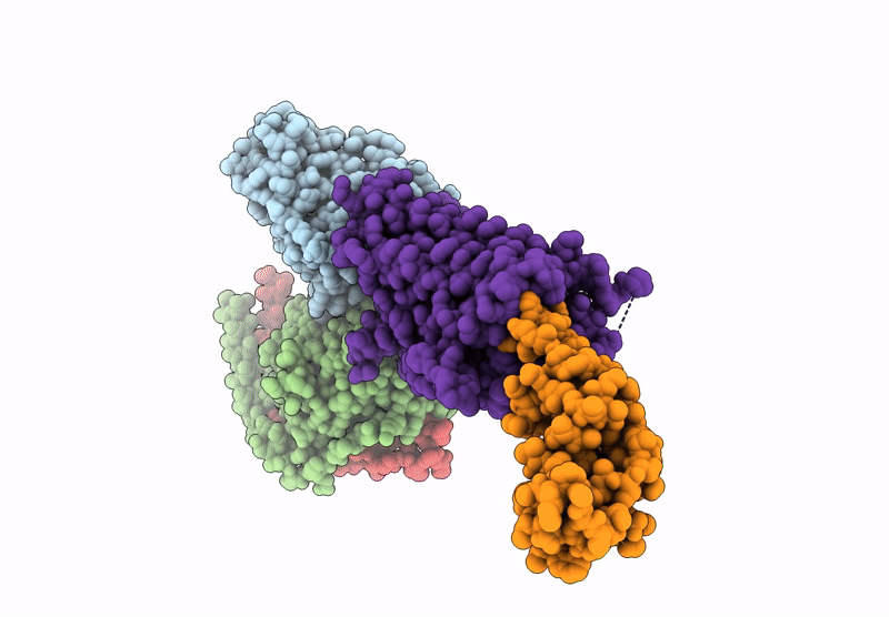 9L3W image
