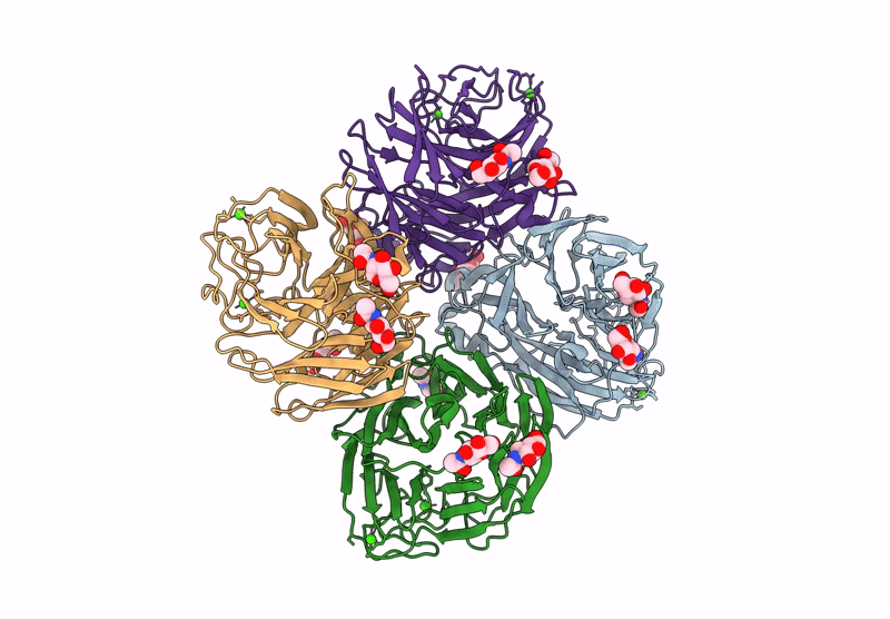 9L44 image