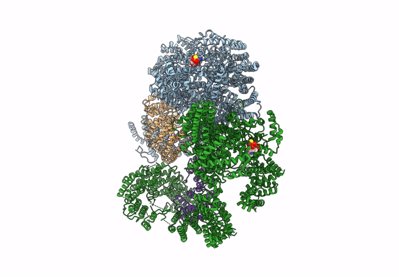 9L46 image