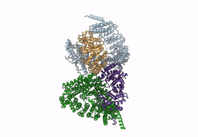 9L4C image