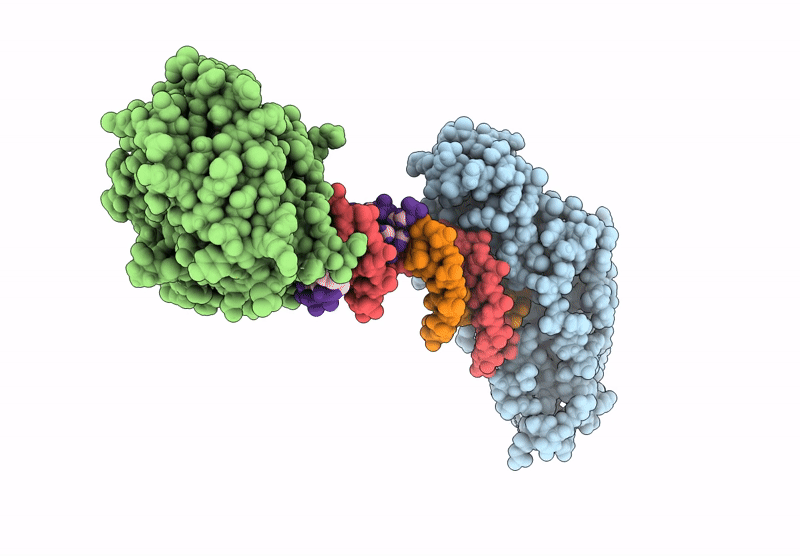 9L55 image