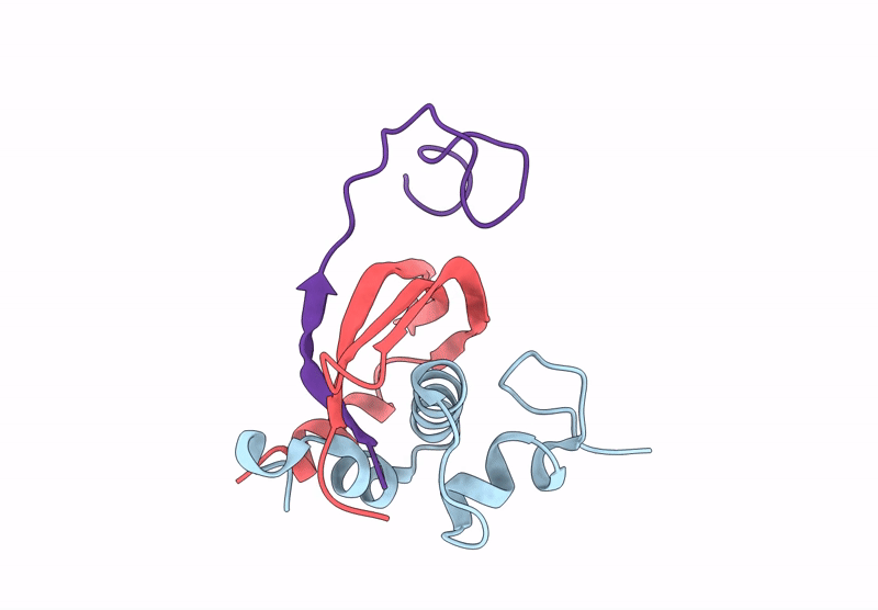 9L6B image
