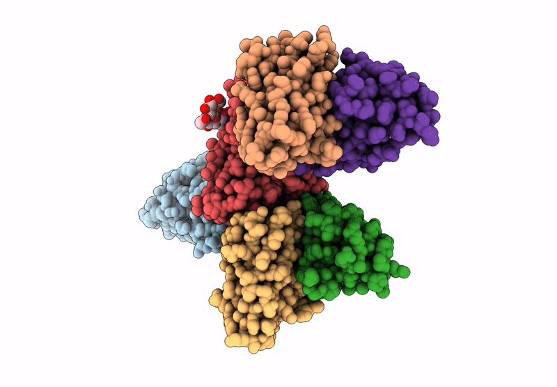 9L6C image