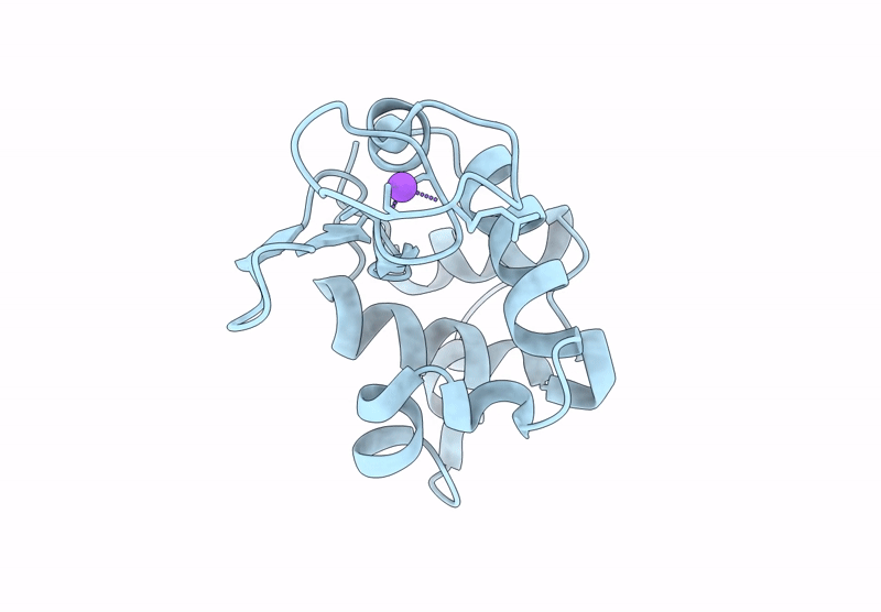 9L71 image
