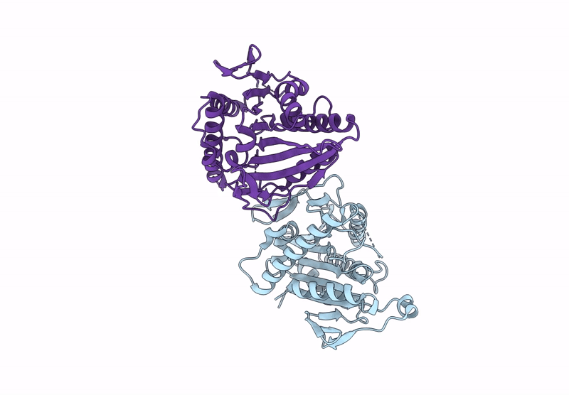9L78 image