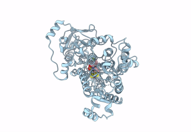 9L8R image