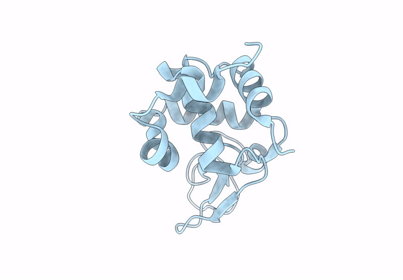 9L9R image
