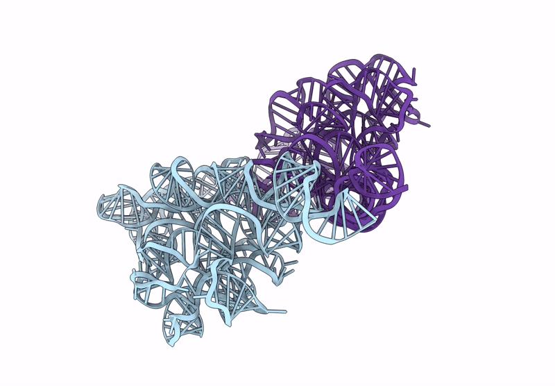 9LCR image
