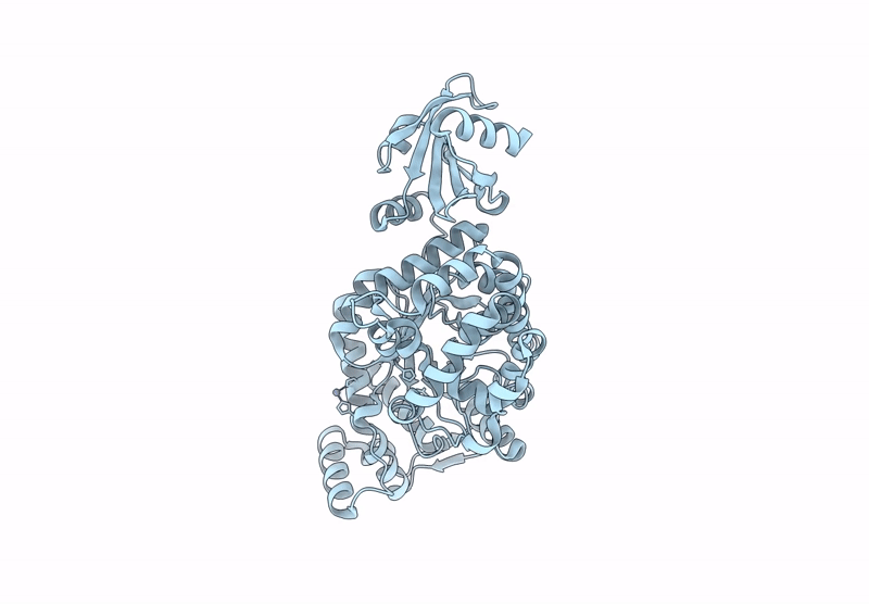 9LHU image
