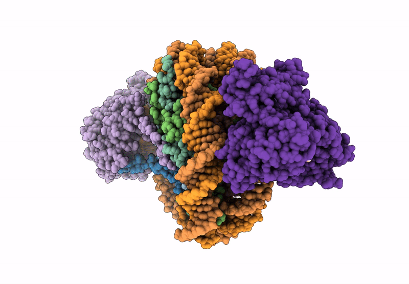 9LJ2 image