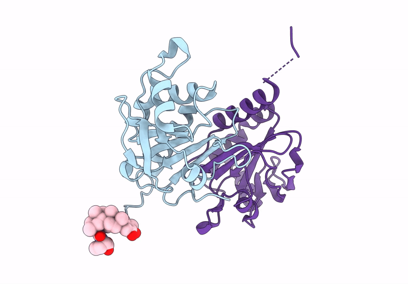 9LNH image