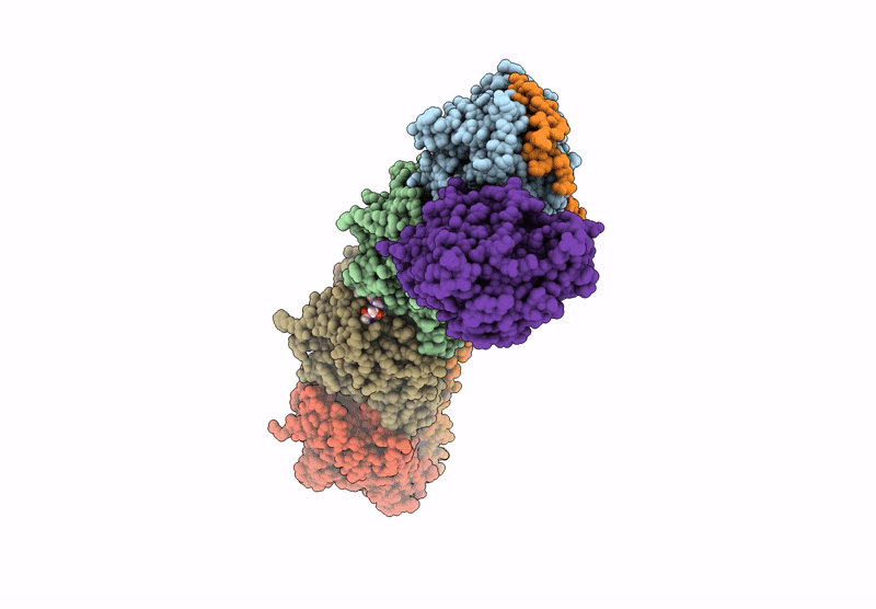 9LNL image