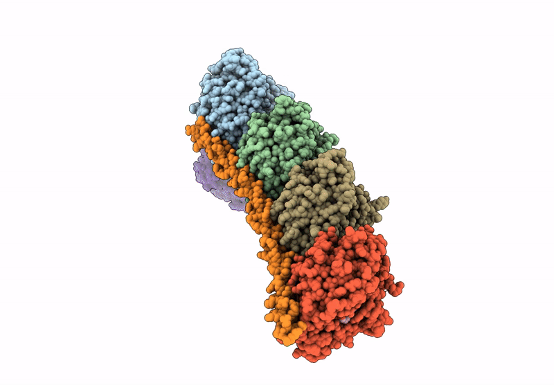 9LNX image