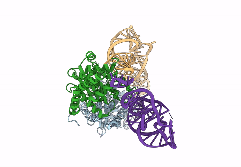 9LPC image