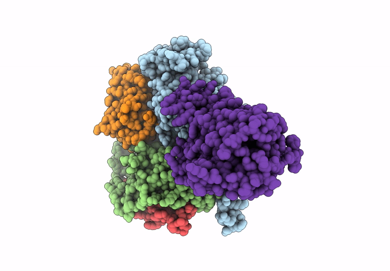 9LRB image