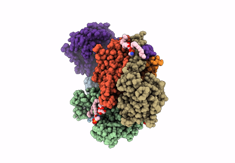 9LRR image