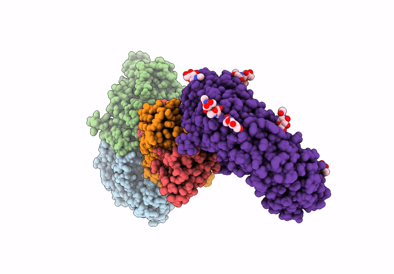 9LSI image