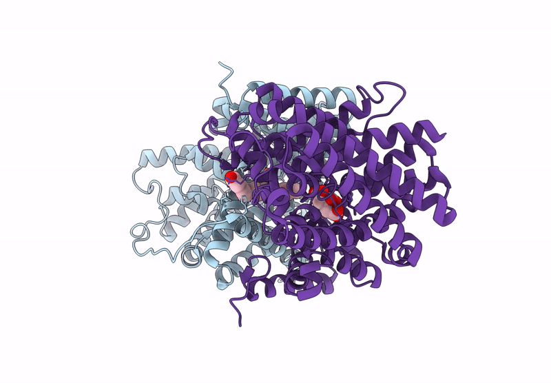 9LSK image