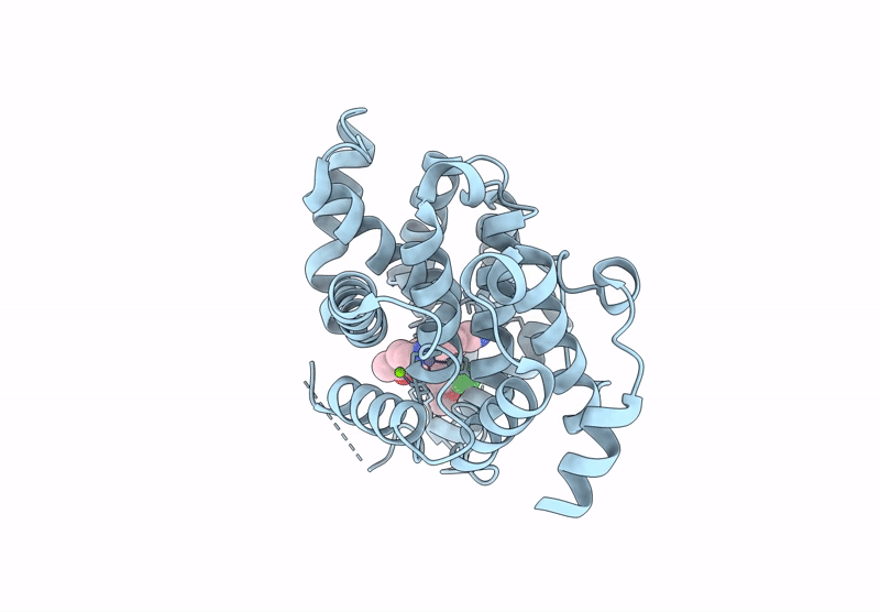 9LSL image