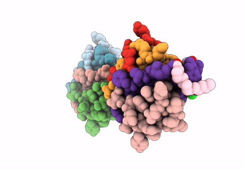 9LVX image
