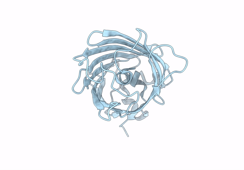 9LYL image