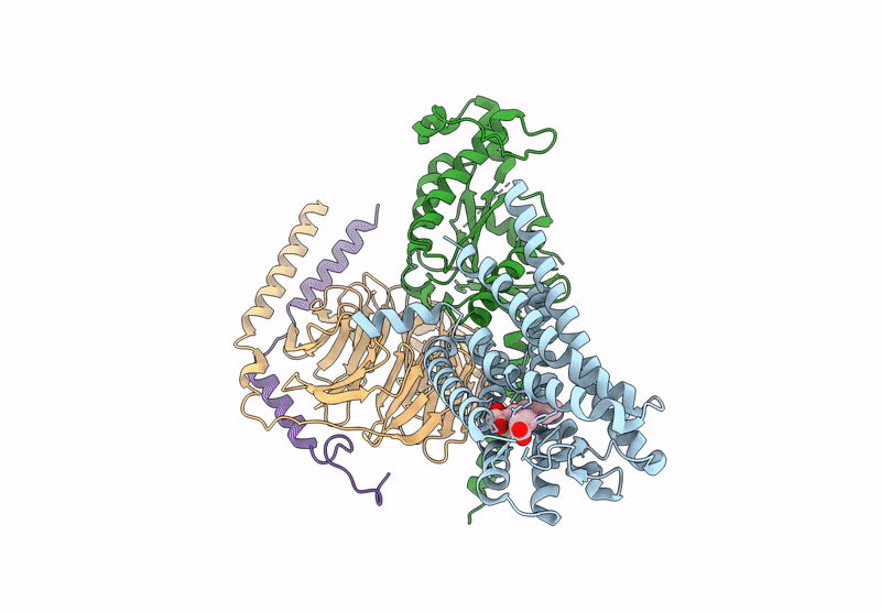 9M1H image