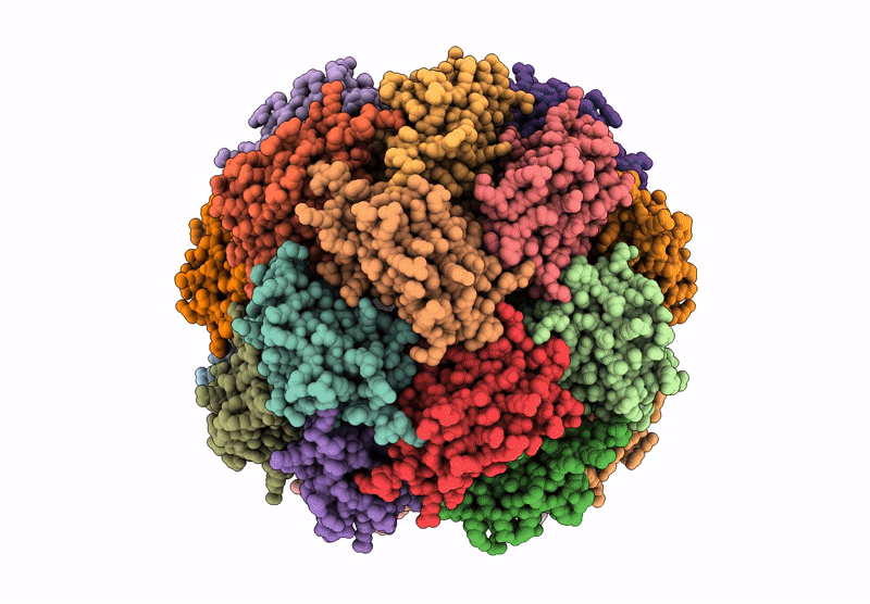 9M2P image