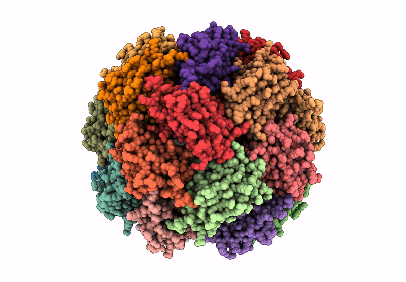 9M2R image