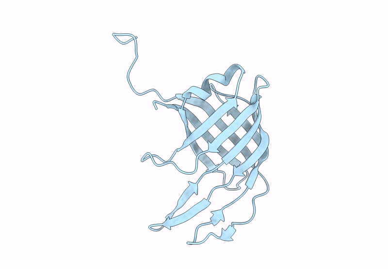 9M2Z image