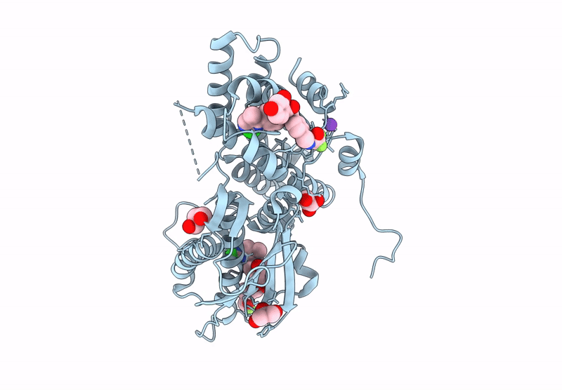 9M3P image