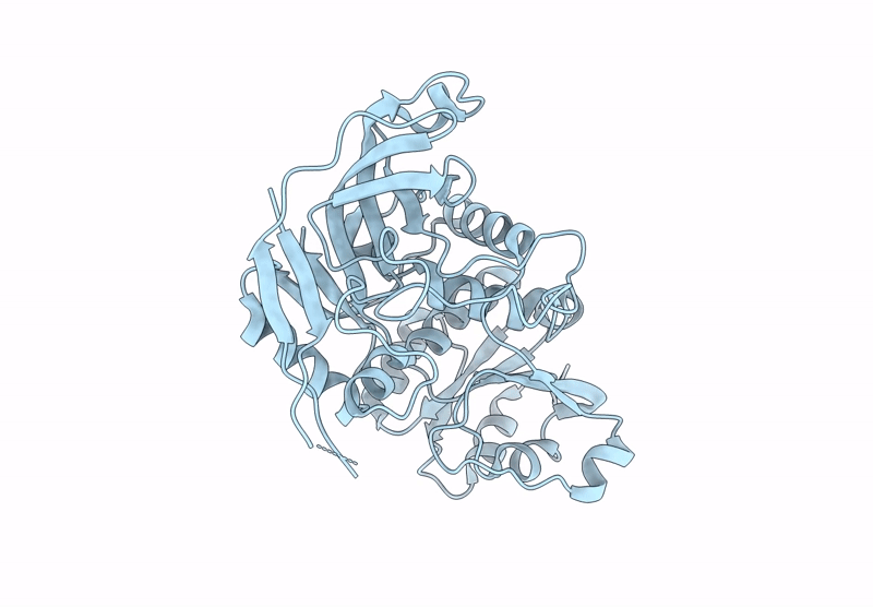 9MC1 image